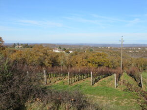 paysage d'automne Trespoux dans le lot